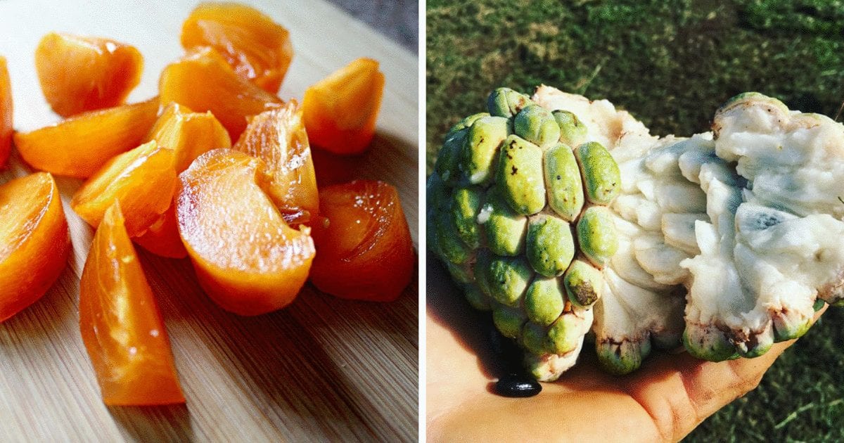 Three mediterranean fruits you can enjoy in Lebanon this autumn