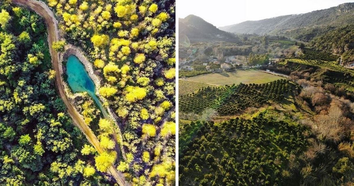 The World Bank Stopped Funding The Bisri Dam Project Thanks to Lebanese Activists