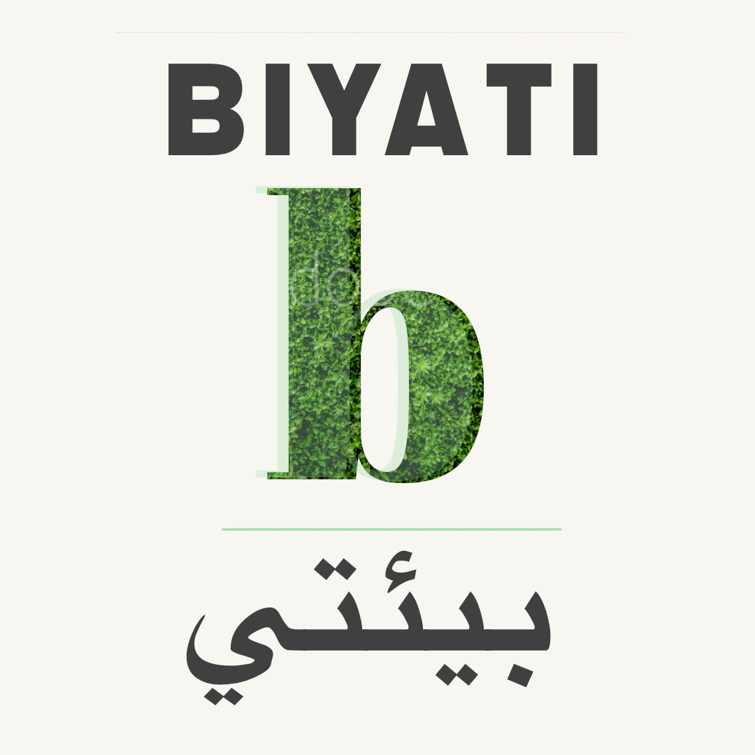 Biyati, an initiative to combat air pollution in Lebanon.