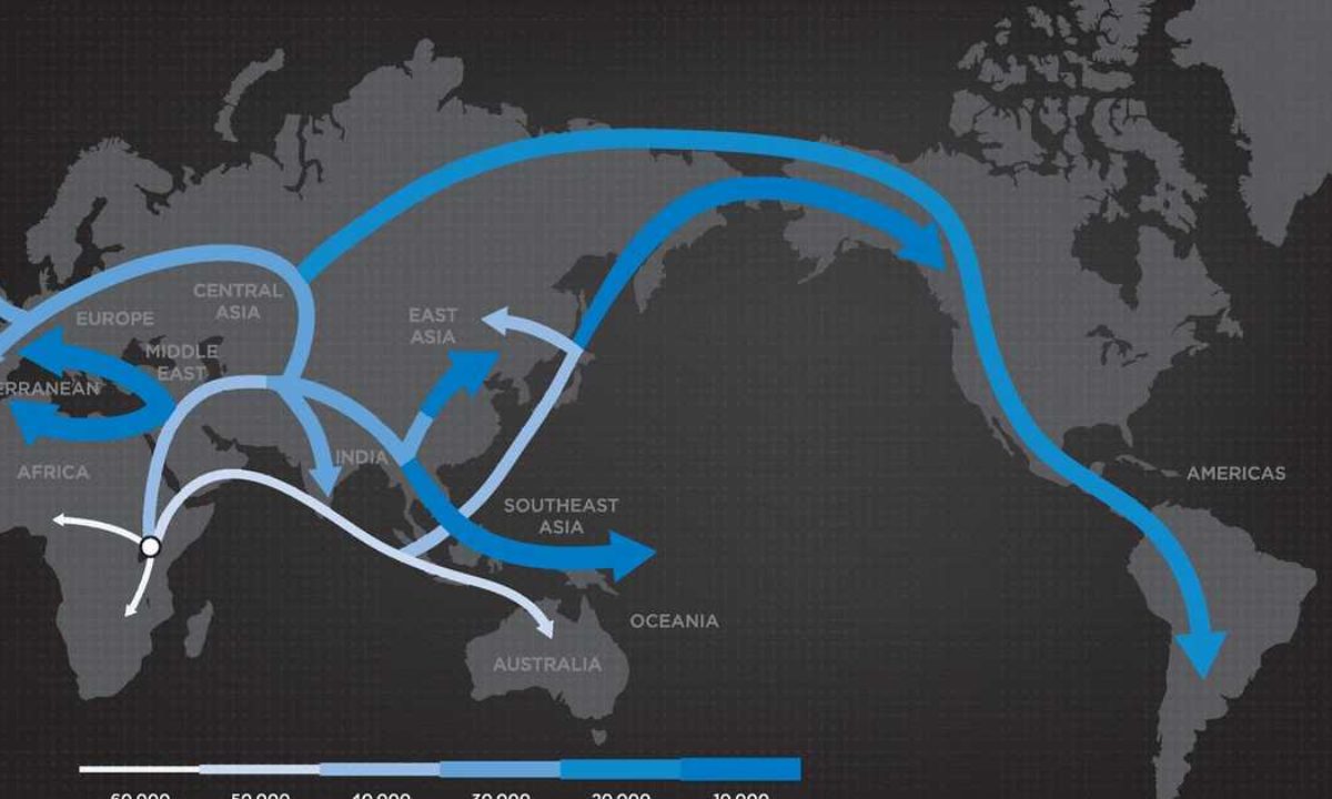 national geographic dna analysis