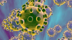 Image result for Coronavirus