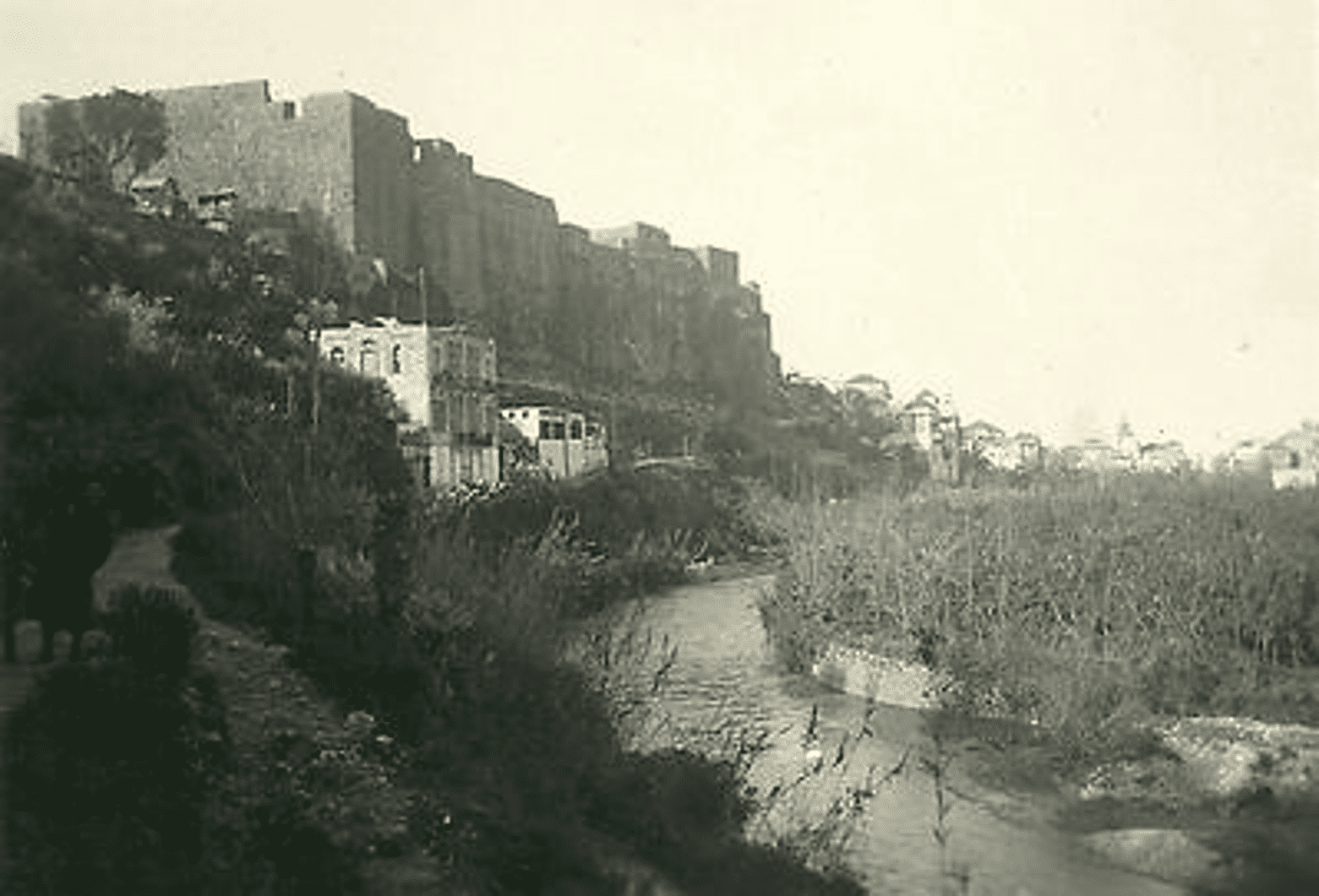 27 Rare Pictures Of Old Tripoli That Will Take You Back In Time! 8