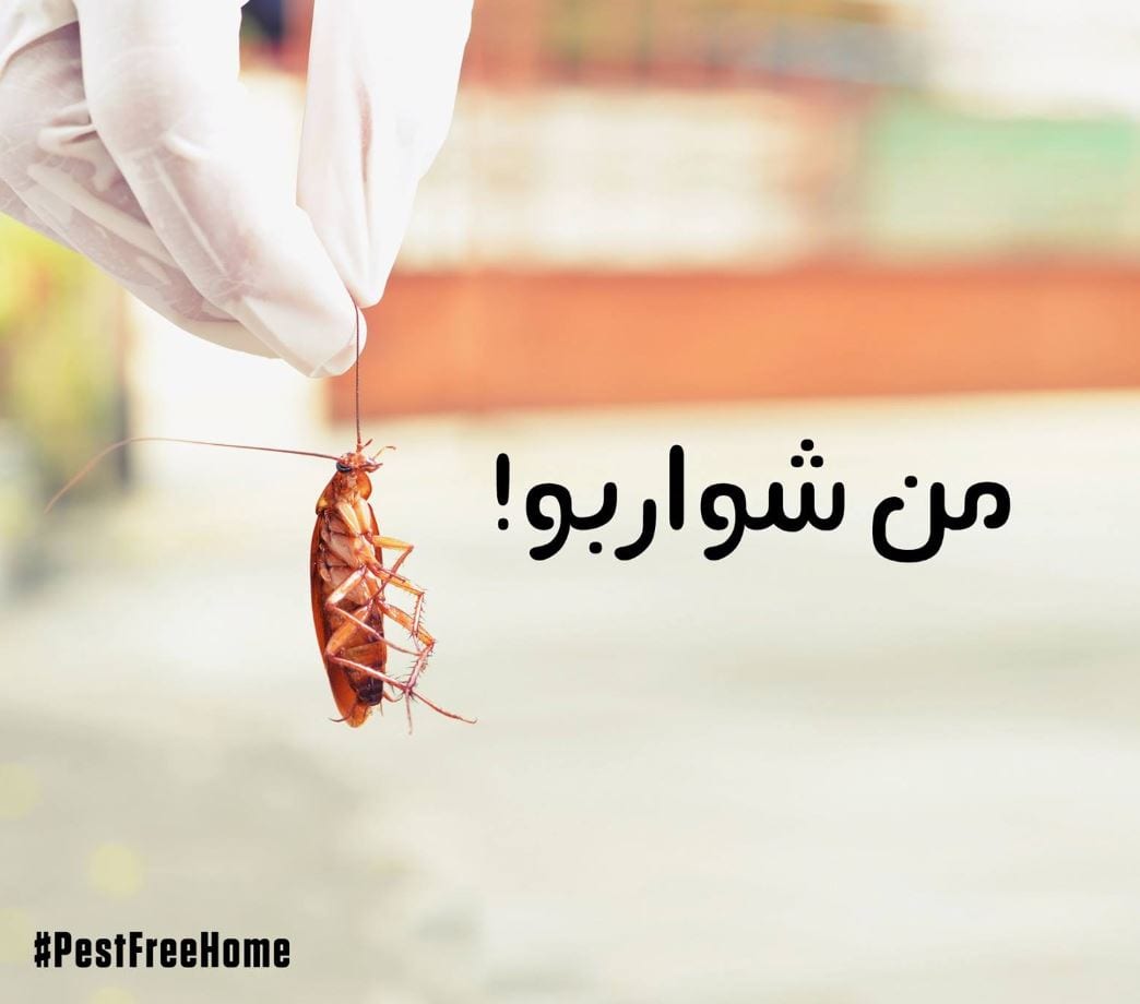 10+ Lebanese Billboards That Can Wreck Your Day 1