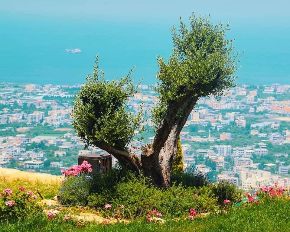 You Won't Believe This Private Village Exists In Jabal Terbol, Lebanon 3