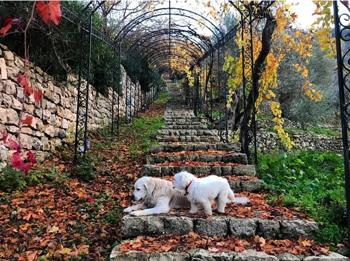 places to visit in autumn in lebanon