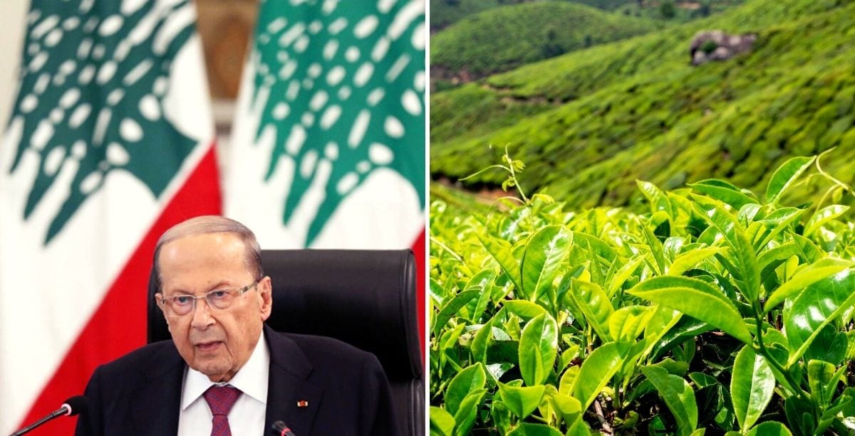 President Aoun Under Fire Over Sri Lankan Tea Donation