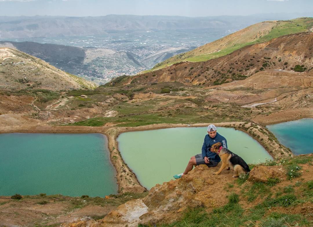 Hiking with a dog in Sannine, Mount Lebanon