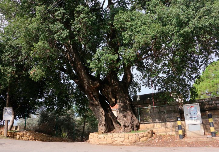 Lebanon's Historic Independence House In Photos 8