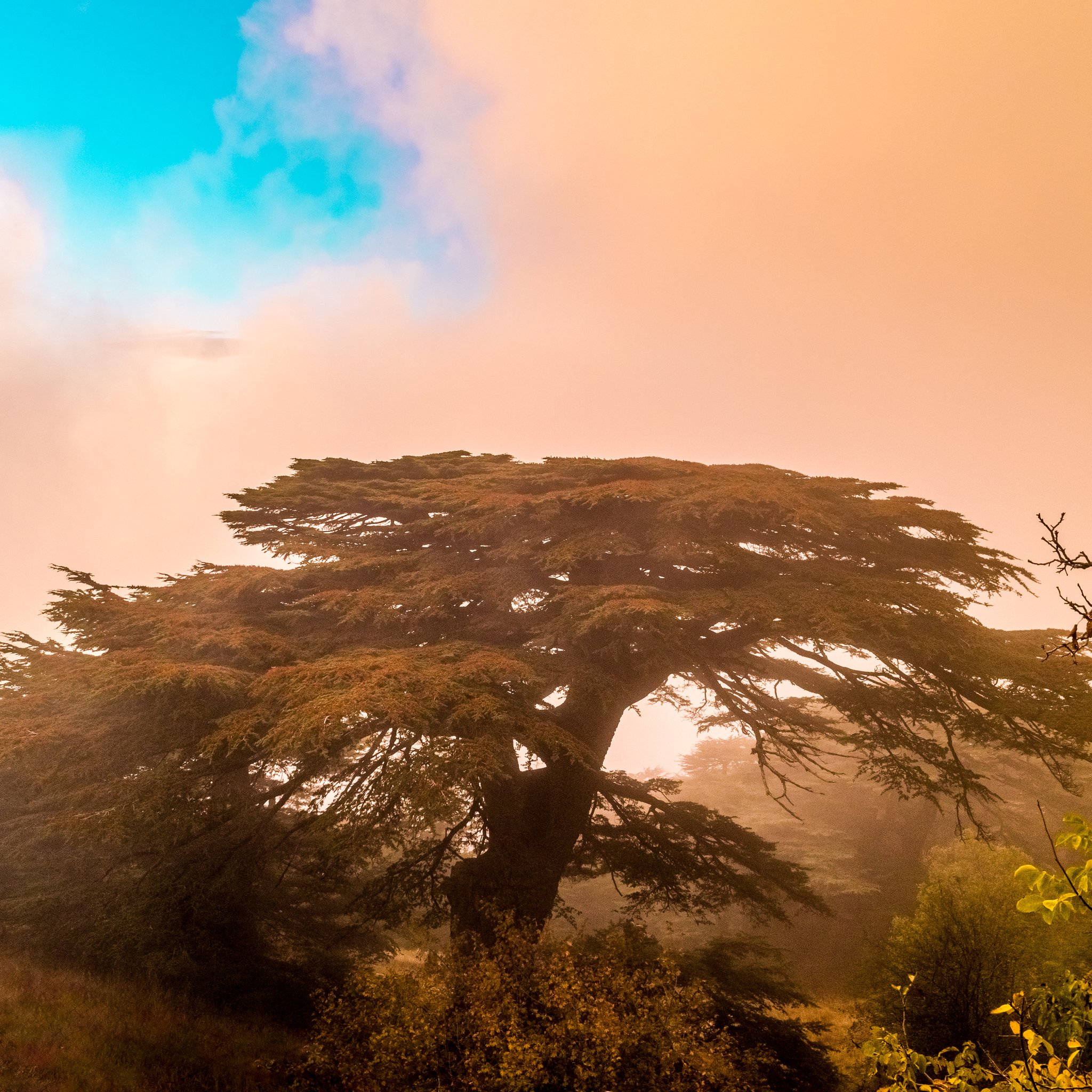 10 Mesmerizing Photos You Won't Believe Were Taken In Lebanon 10