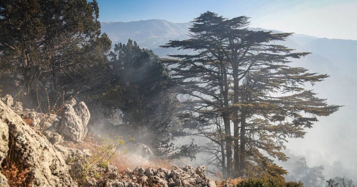 lebanon tourism cedars