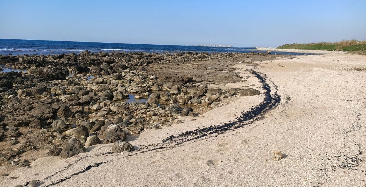 Tar From Oil Spill Is Polluting More Areas In Lebanon