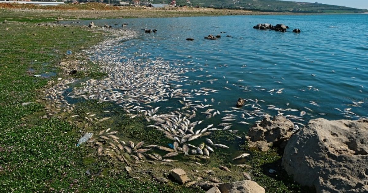 Lebanon Seeks $250 Million From World Bank To Fix Litani River Pollution