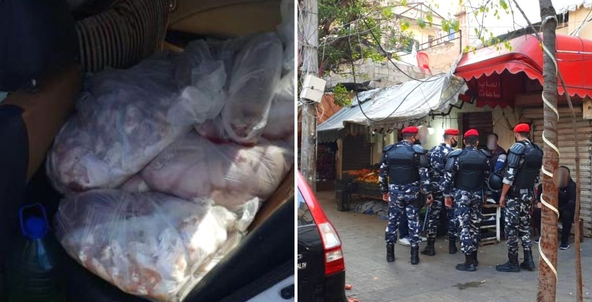 A Man Was Just Caught Transporting 150 Kg Of Poultry Using His Car In Lebanon