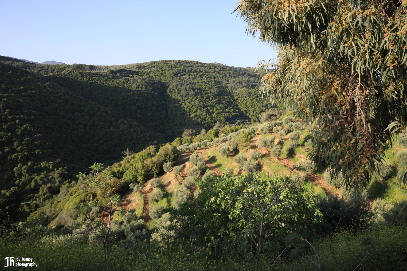 30+ Photos Of Deir Jennine In North Lebanon 2