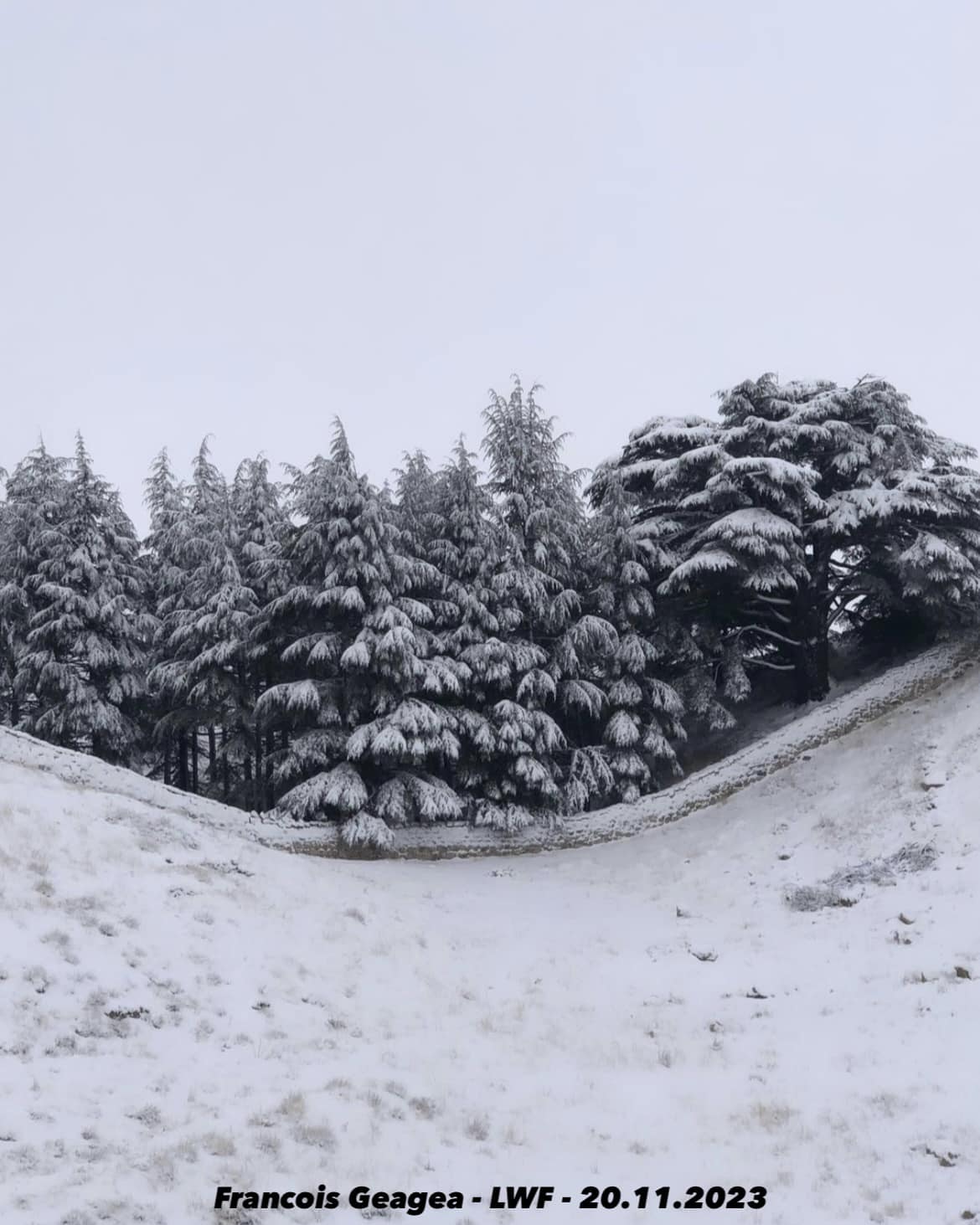 Lebanon Just Got Its First Snowfall Of The Season 4